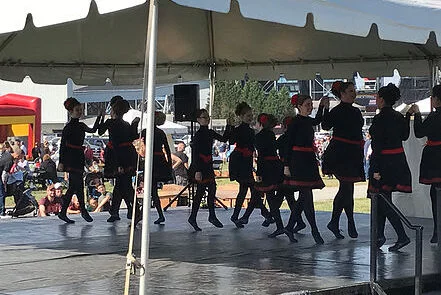 Heart of Ireland School